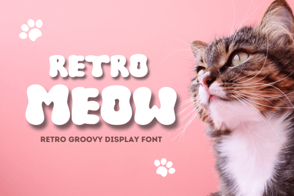 Retro Meow: A Playful Display Font for Small Business Branding